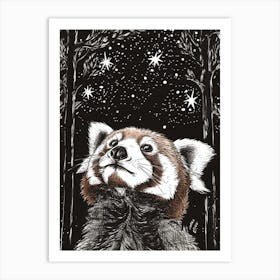 Red Panda Looking At A Starry Sky Ink Illustration 1 Art Print