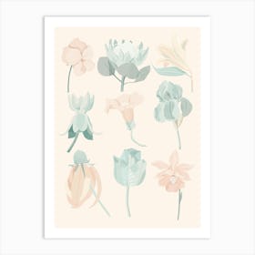 Pastel Flowers Art Print