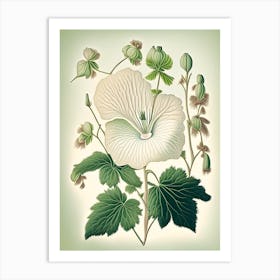 Marsh Mallow Wildflower Vintage Botanical 2 Art Print