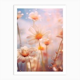 Daisies Art Print