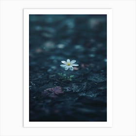 Flower In The Dark 80 Art Print