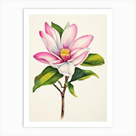 Magnolia 1 Vintage Flowers Flower Art Print