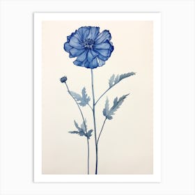 Blue Botanical Everlasting Flower 2 Art Print