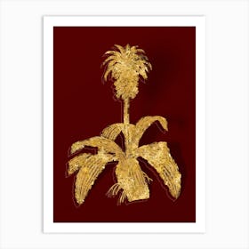 Vintage Eucomis Regia Botanical in Gold on Red Art Print