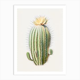 Ferocactus Cactus Marker Art 2 Art Print