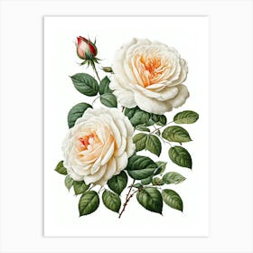 Vintage Galleria Style Rose Art Painting 31 Art Print