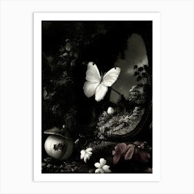 Butterfly In A Mirror Art Print