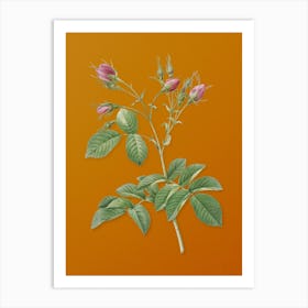 Vintage Evrat's Rose with Crimson Buds Botanical on Sunset Orange n.0315 Art Print