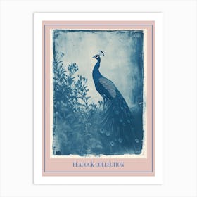 Peacock In The Meadow Cyanotype Inspired 1 Poster Art Print