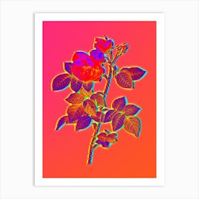 Neon Pink Bourbon Roses Botanical in Hot Pink and Electric Blue n.0275 Art Print