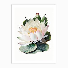 White Lotus Decoupage 4 Art Print