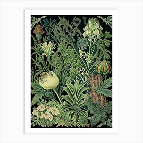 Botanischer Garten München Nymphenburg 1, Germany Vintage Botanical Art Print