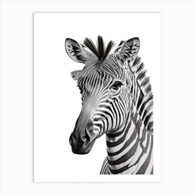 Zebra Portrait 1 Art Print