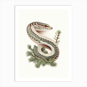 Pine Snake 1 Vintage Art Print