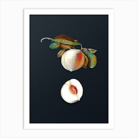 Vintage Peach Botanical Watercolor Illustration on Dark Teal Blue n.0836 Art Print