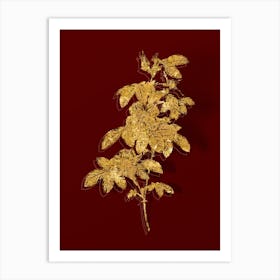Vintage Single May Rose Botanical in Gold on Red Art Print