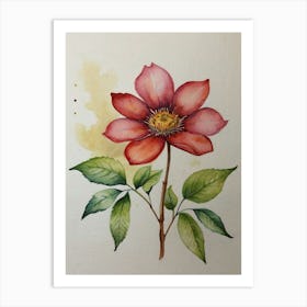 Watercolour Of A Red Flower Art Print