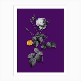 Vintage Provence Rose Black and White Gold Leaf Floral Art on Deep Violet n.0897 Art Print