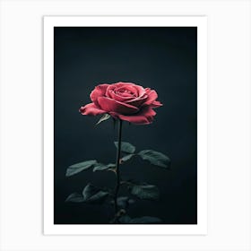 Single Rose On Dark Background 2 Art Print