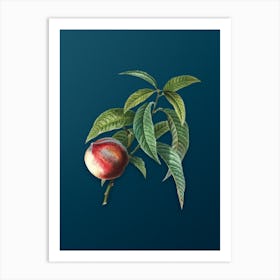 Vintage Peach Botanical Art on Teal Blue n.0144 Art Print