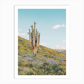 Saguaro Wildflowers Art Print