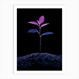 Plant Growing Out Of The Ground 4 Art Print