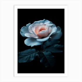 Rose On A Black Background 19 Art Print