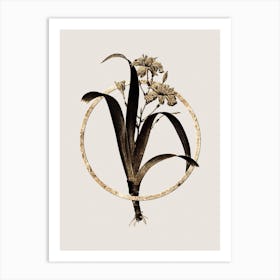 Gold Ring Iris Fimbriata Glitter Botanical Illustration Art Print