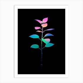 Rainbow Plant 6 Art Print