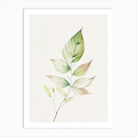 Spirea Leaf Minimalist Watercolour 1 Art Print