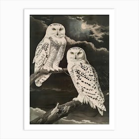 Snowy Owls 8 Art Print