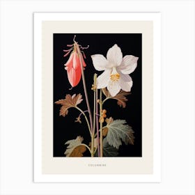 Flower Illustration Columbine 1 Poster Art Print