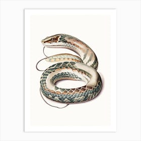 Python Snake 1 Vintage Art Print