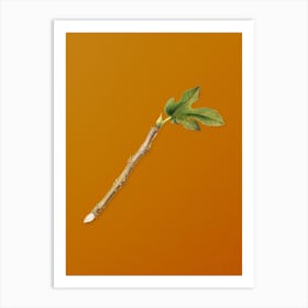 Vintage Fig Botanical on Sunset Orange n.0118 Art Print