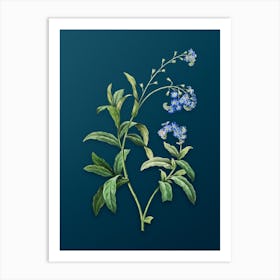 Vintage Water Forget Me Not Botanical Art on Teal Blue n.0675 Art Print