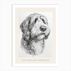 Old English Sheepdog Line Sketch 2 Poster Art Print