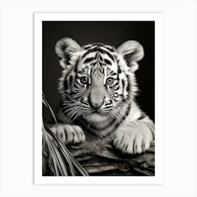 Black And White Photograph Of A Tiger Cub 1 Art Print