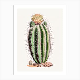 Echinocereus Cactus Marker Art 1 Art Print