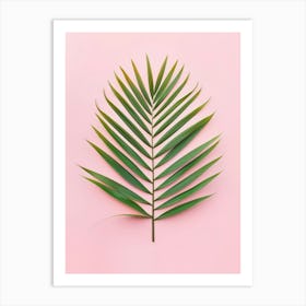 Palm Leaf On Pink Background 8 Art Print