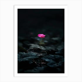 Lotus Flower 35 Art Print