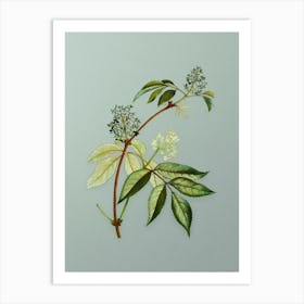 Vintage Red Elderberry Botanical Art on Mint Green n.0742 Art Print