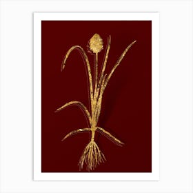 Vintage Veltheimia Abyssinica Botanical in Gold on Red n.0424 Art Print