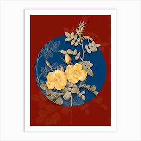 Vintage Botanical Yellow Sweetbriar Roses on Circle Blue on Red n.0026 Art Print