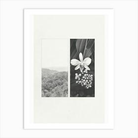 Orchid Flower Photo Collage 1 Art Print