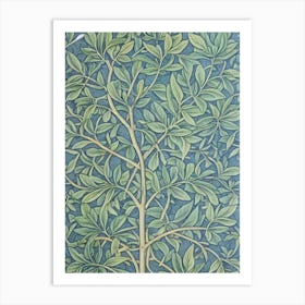 Olive tree Vintage 2 Botanical Art Print