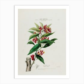 Rhododendron 2 Art Print