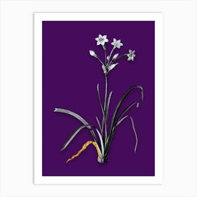 Vintage Crytanthus Vittatus Black and White Gold Leaf Floral Art on Deep Violet n.0831 Art Print