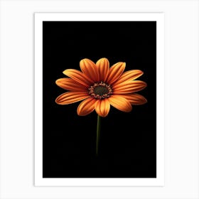 Gerbera Daisy 12 Art Print