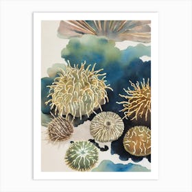 Sea Urchin Vintage Graphic Watercolour Art Print