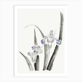 Hokusai Chinese Iris Art Print